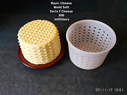 Basic Cheese Mold Soft Sorts of Cheese 300 mililiters by PetriStor